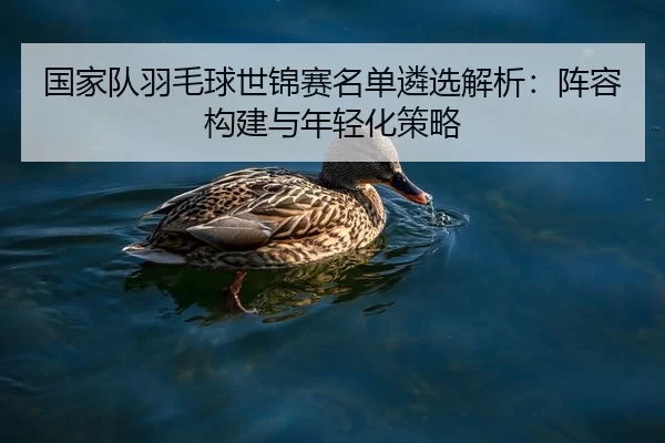 guo-jia-dui-yu-mao-qiu-shi-jin-sai-ming-dan-lin-xuan-jie-xi-zhen-rong-gou-jian-yu-nian-qing-hua-ce-lve-2-516.jpg